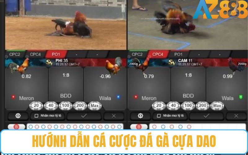 Hướng dẫn chi tiết chơi đá gà cựa dao trực tuyến tại AZ888